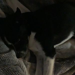 Meet your Posher, Natalia